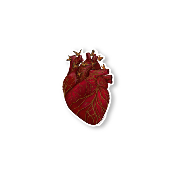 Amor | Sticker | NEW