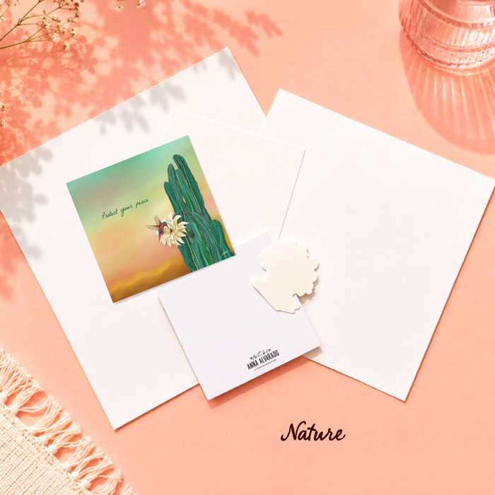 Summer Studio Bundle