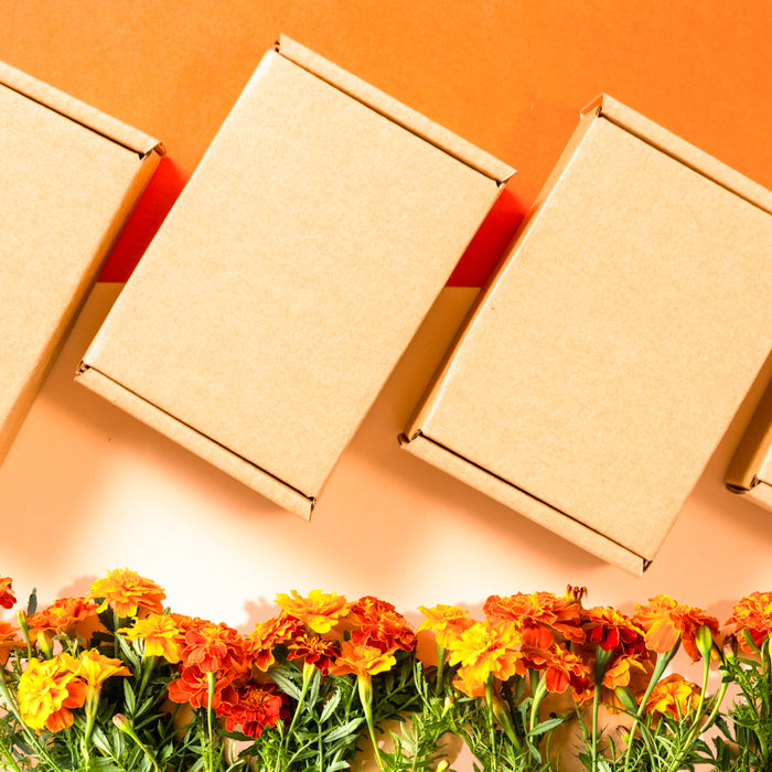 Dia de los Muertos Mystery Medium Box | 2025| LIMITED EDITION