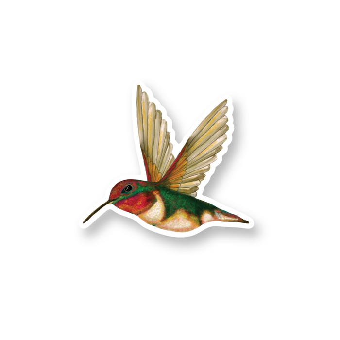 Little Sunburst | Sticker | NEW