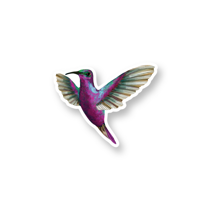 Little Wonder | Sticker | NEW