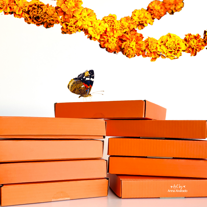 Dia de los Muertos Mystery Small Box | 2025| LIMITED EDITION