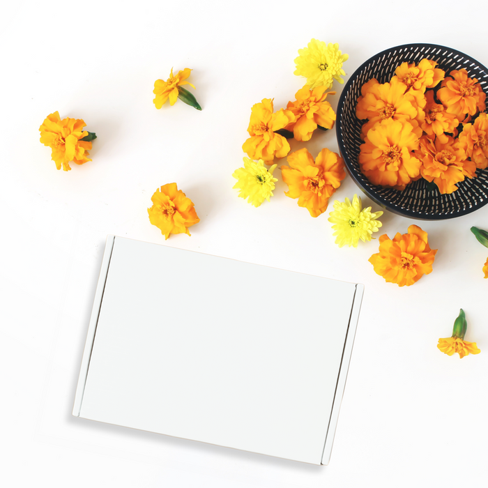 Dia de los Muertos Mystery Large Box | 2025| LIMITED EDITION